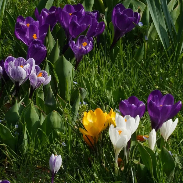 开云电竞棋牌游戏